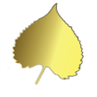 Logo Aspen Investment Management, Inc.