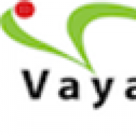 Logo Vayavya Labs Pvt Ltd.