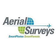 Logo Aerial Surveys Ltd.