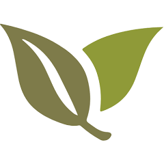Logo Capital Insight Partners LLC