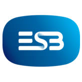 Logo ESB Networks Ltd.