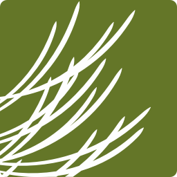 Logo Santa Fe Community Foundation