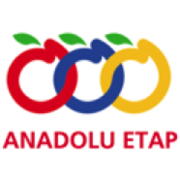 Logo Anadolu Etap AS