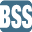 Logo Boston Software Systems, Inc.