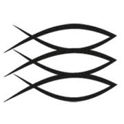 Logo Three Oceans Fish Co. Ltd.