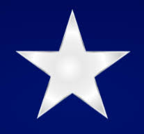 Logo Whitestar Asset Management LLC