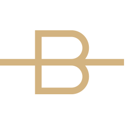 Logo Bridge Street Capital Partners Pty Ltd.