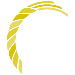 Logo DSW Capital Plc