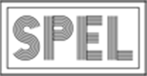 Logo Synthetic Products Enterprises Ltd.