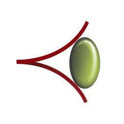 Logo ICARES Medicus, Inc.