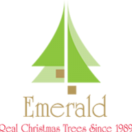Logo Emerald Group Ltd.