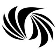 Logo Financial Executives International of Chicago Chapter
