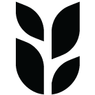 Logo Grain Pte Ltd.