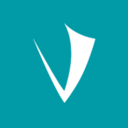 Logo Viking Mergers & Acquisitions LLC