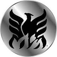 Logo Phoenix Group Metals LLC