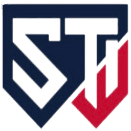 Logo SecureTech Innovations, Inc.