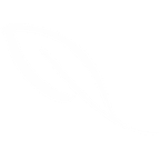 Logo Solaris Paper Pty Ltd.