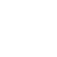 Logo Surge Private Equity LLC