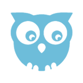 Logo Owlytics Healthcare Ltd.