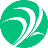 Logo RSABI