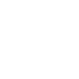 Logo Defiance Capital LLC