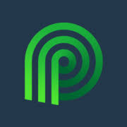 Logo Palmetto, Inc.