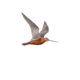 Logo Quaich Pte Ltd.