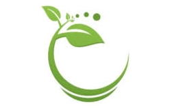 Logo Verte Capital LLC