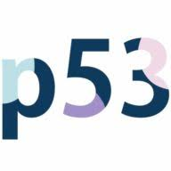 Logo P53 Invest AS