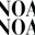 Logo Noa Noa GmbH