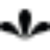 Logo Handbag Acquisitions Ltd.