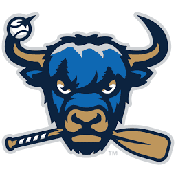 Logo The Salem Red Sox