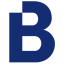 Logo Bionic Services Group Ltd.