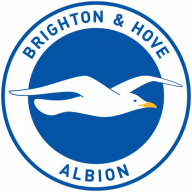 Logo Albion in the Community