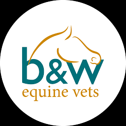 Logo B&W Equine Group Ltd.
