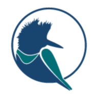 Logo Kingfisher Metals Ltd.
