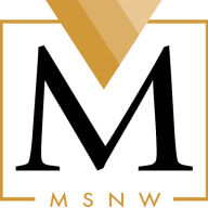 Logo MSNW Group LLC
