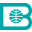 Logo BSS Co., Ltd. (Fukuoka)