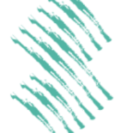 Logo Velvet Sea Ventures