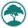 Logo The BALSA Foundation