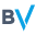 Logo Big Valley Marketing, Inc.