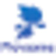 Logo Playsome Oy