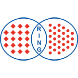 Logo Ring Maschinenbau GmbH