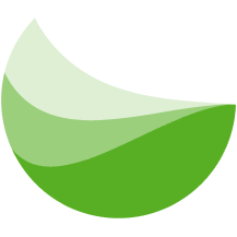Logo Fibres Online Oy