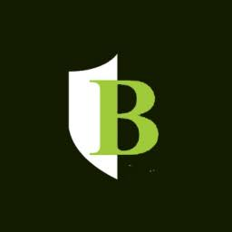 Logo Boutique Venture Partners LLC