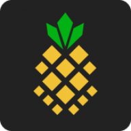 Logo Pineapple Energy LLC