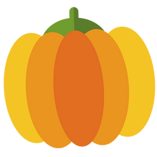 Logo Pumpkin Organics GmbH