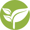 Logo Raintree Farms Ltd.