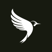 Logo Vertical Aerospace Group Ltd.