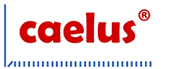 Logo Caelus Technologies Ltd.